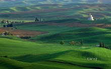 green trees grass houses fields hills roads 1920x1200 wallpaper 